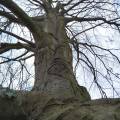 img_20200404_154003.jpg