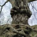 img_20200413_163713.jpg