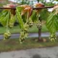 img_20200419_104049.jpg