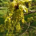 img_20200502_130957.jpg
