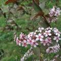 img_20200502_132245.jpg