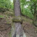 img_20200502_132858.jpg