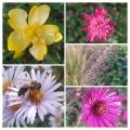 20221011_230653-collage.jpg