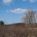 fotka20220328_160551.jpg