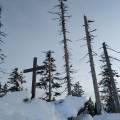img_20221203_160820.jpg