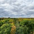 dji_0049.jpg
